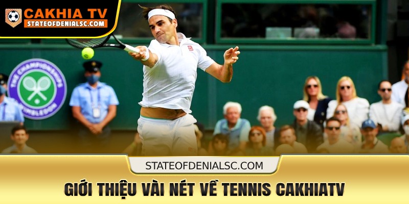 Giới thiệu đôi nét về tennis cakhiatv